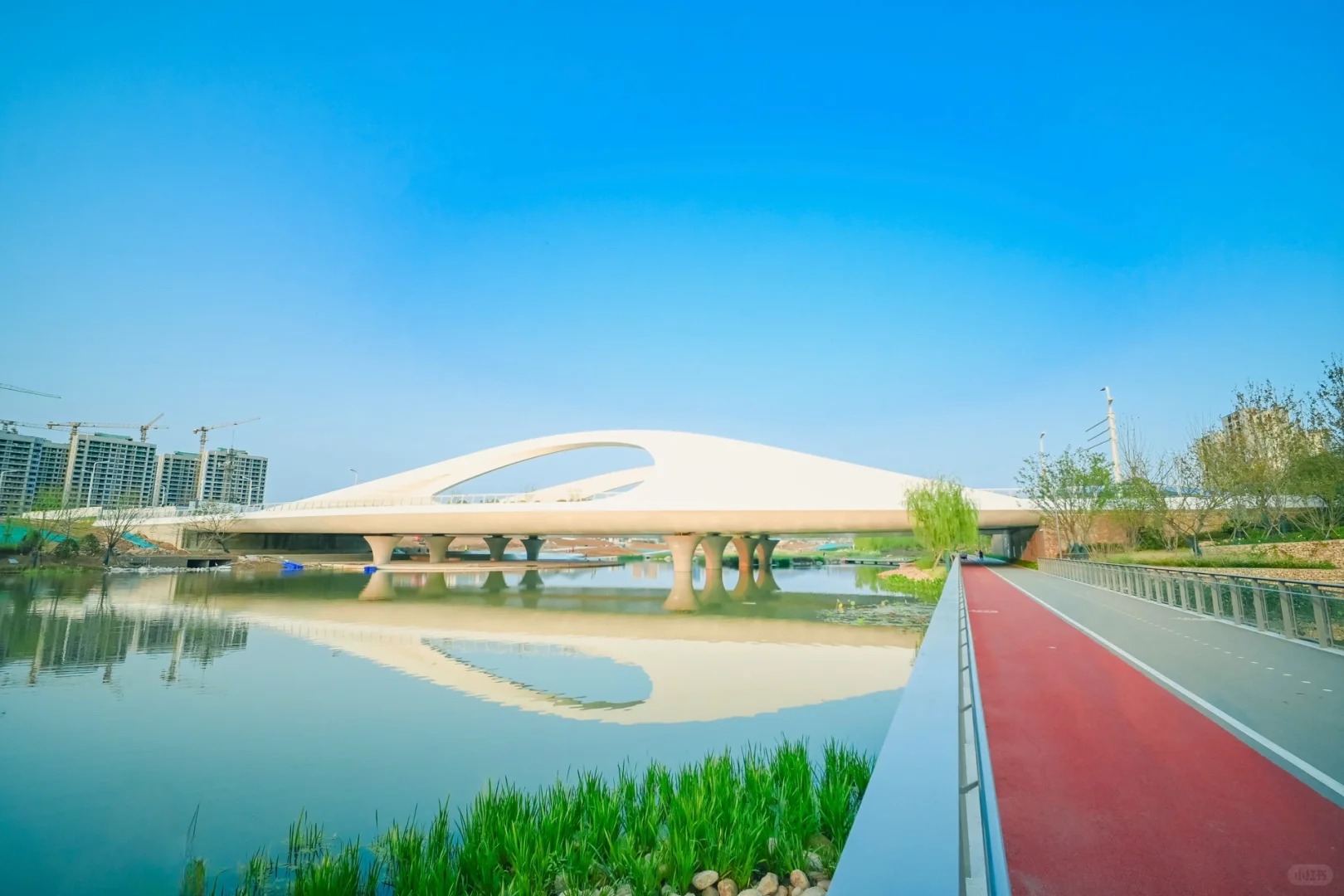 青島張村河生態(tài)公園 | 置身自然秘境,做綠色童年的探尋者 青島張村河生態(tài)公園 | 置身自然秘境,做綠色童年的探尋者