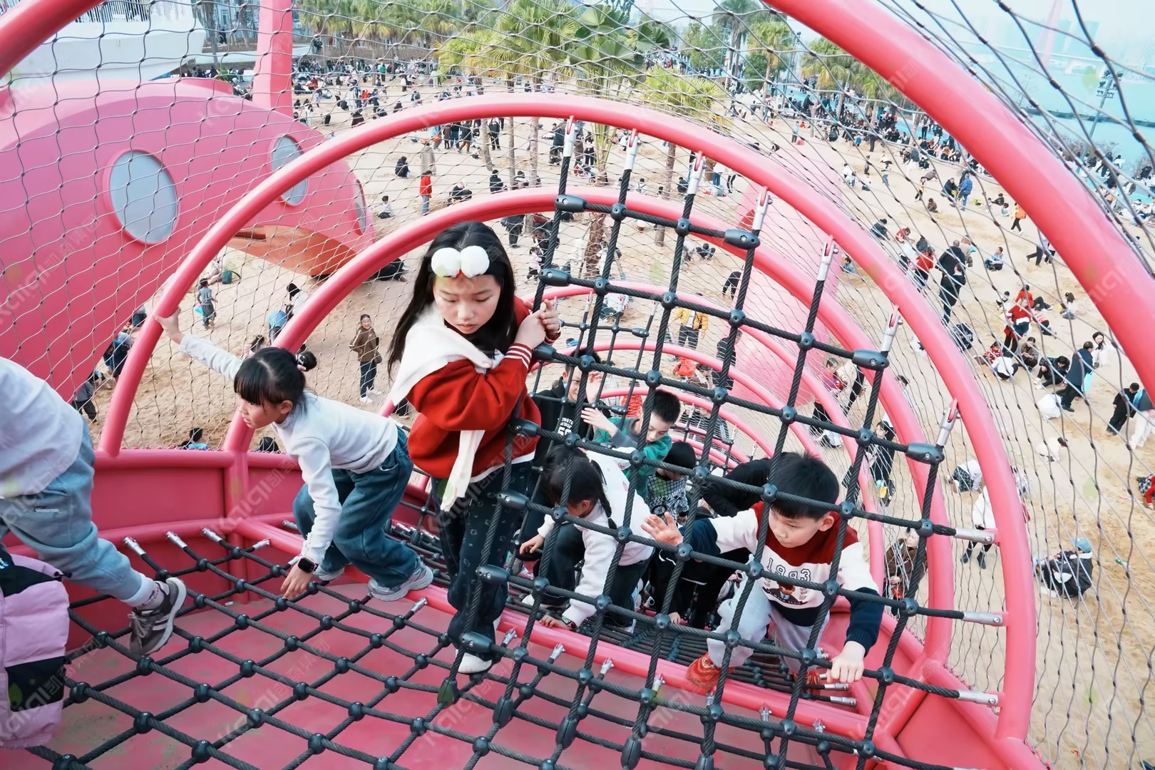 1772086974408485.jpg 1772086974408485.jpg