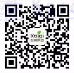 1524902247120174.png 遇見凱奇,遇見樂趣。.png