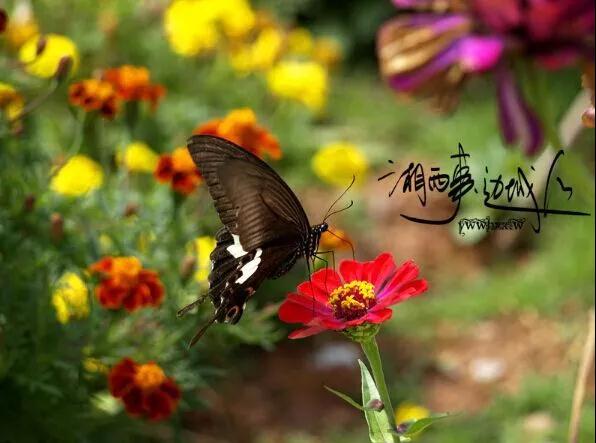 1539246148112016.jpg x03.jpg