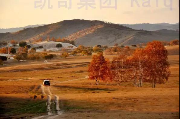 1539246184108156.jpg x06.jpg