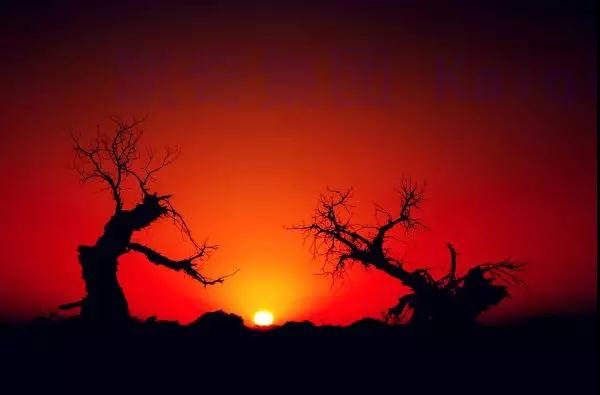 1539246195867090.jpg x07.jpg