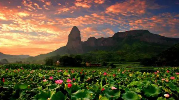 1539246206122098.jpg x08.jpg