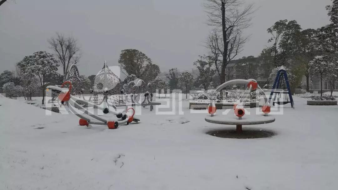 1546495602515520.jpg 1546495602515520.jpg