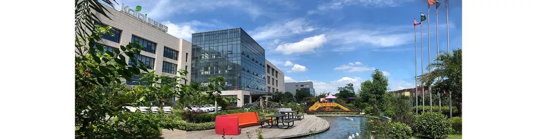 1548051286762394.jpg 1548051286762394.jpg