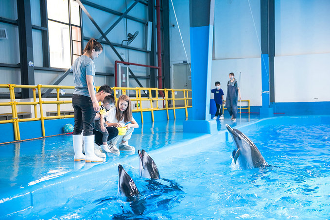 1595235113120828.jpg 7ff7de37ly4gfeyshnj4bj20iv0clq8v.jpg