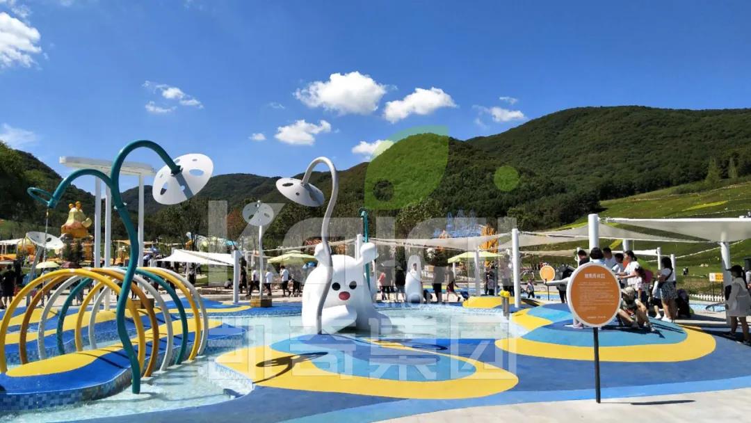 1600333752126100.jpg 8.jpg