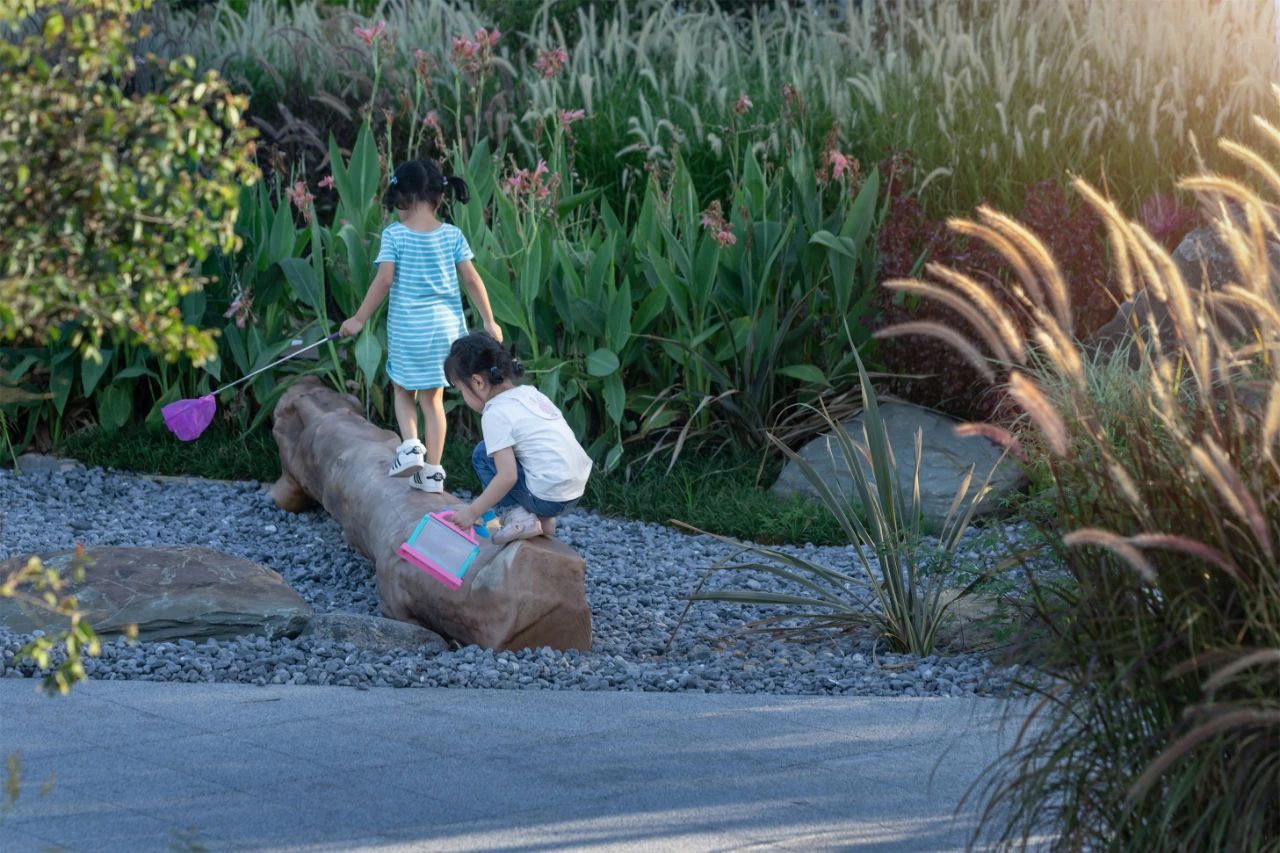 1602745967827285.jpg 4.jpg