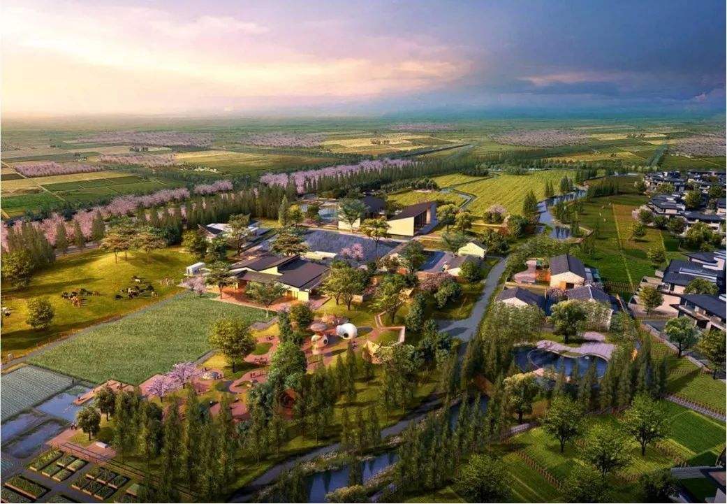 1605234284517715.jpg 1605234284517715.jpg