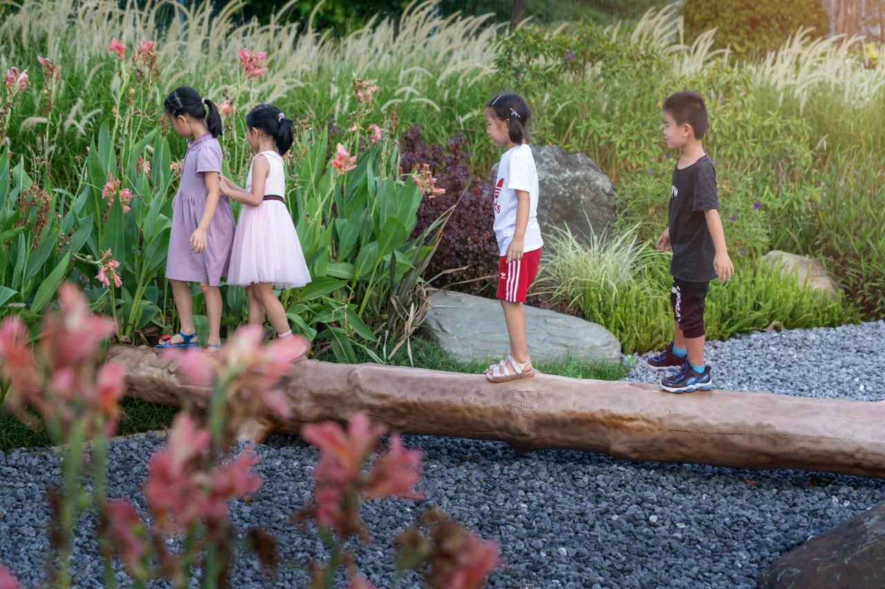 1605689128640958.jpg 1605689128640958.jpg