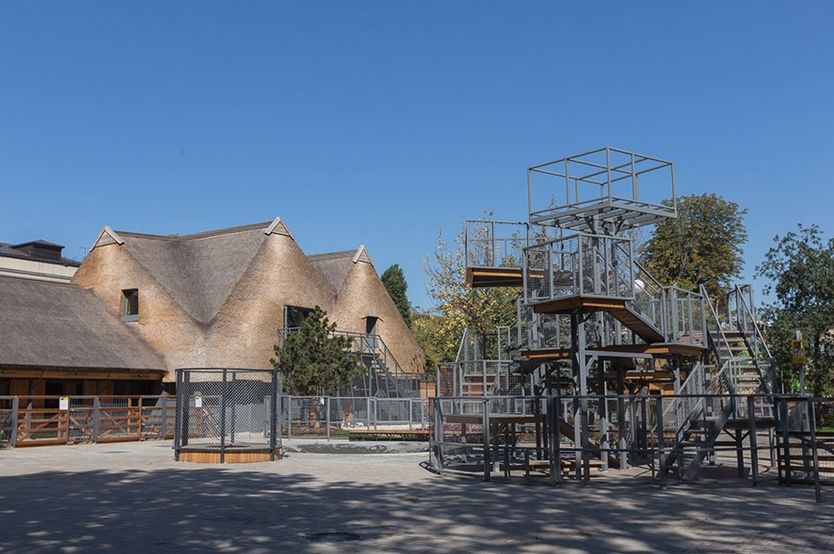 1605843363861367.jpg 1605843363861367.jpg