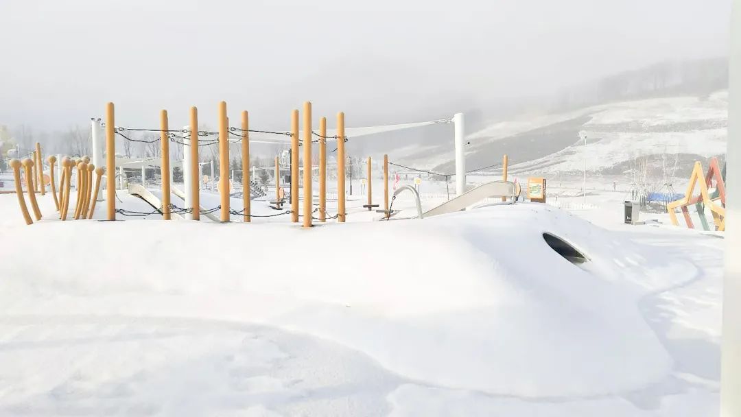 1607310270103388.jpg 1607310270103388.jpg