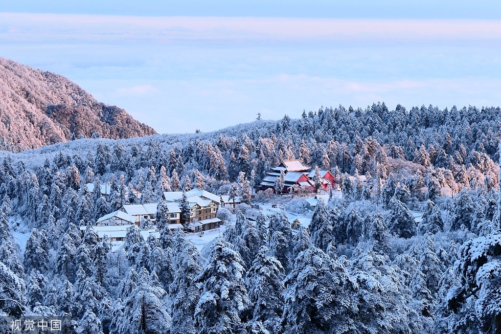 1608537247116654.jpg 1608537247116654.jpg