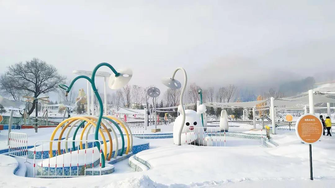 1608537290134237.jpg 1608537290134237.jpg