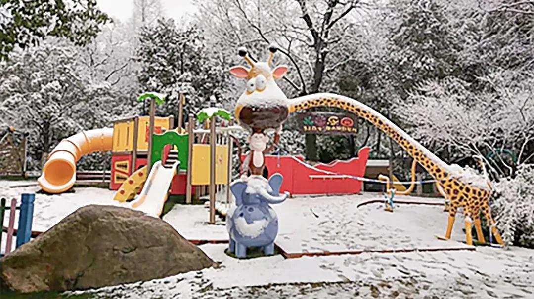 1608537315115359.jpg 1608537315115359.jpg