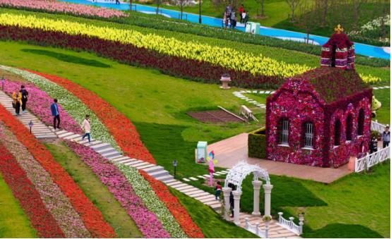 1619509057808954.jpg 1619509057808954.jpg