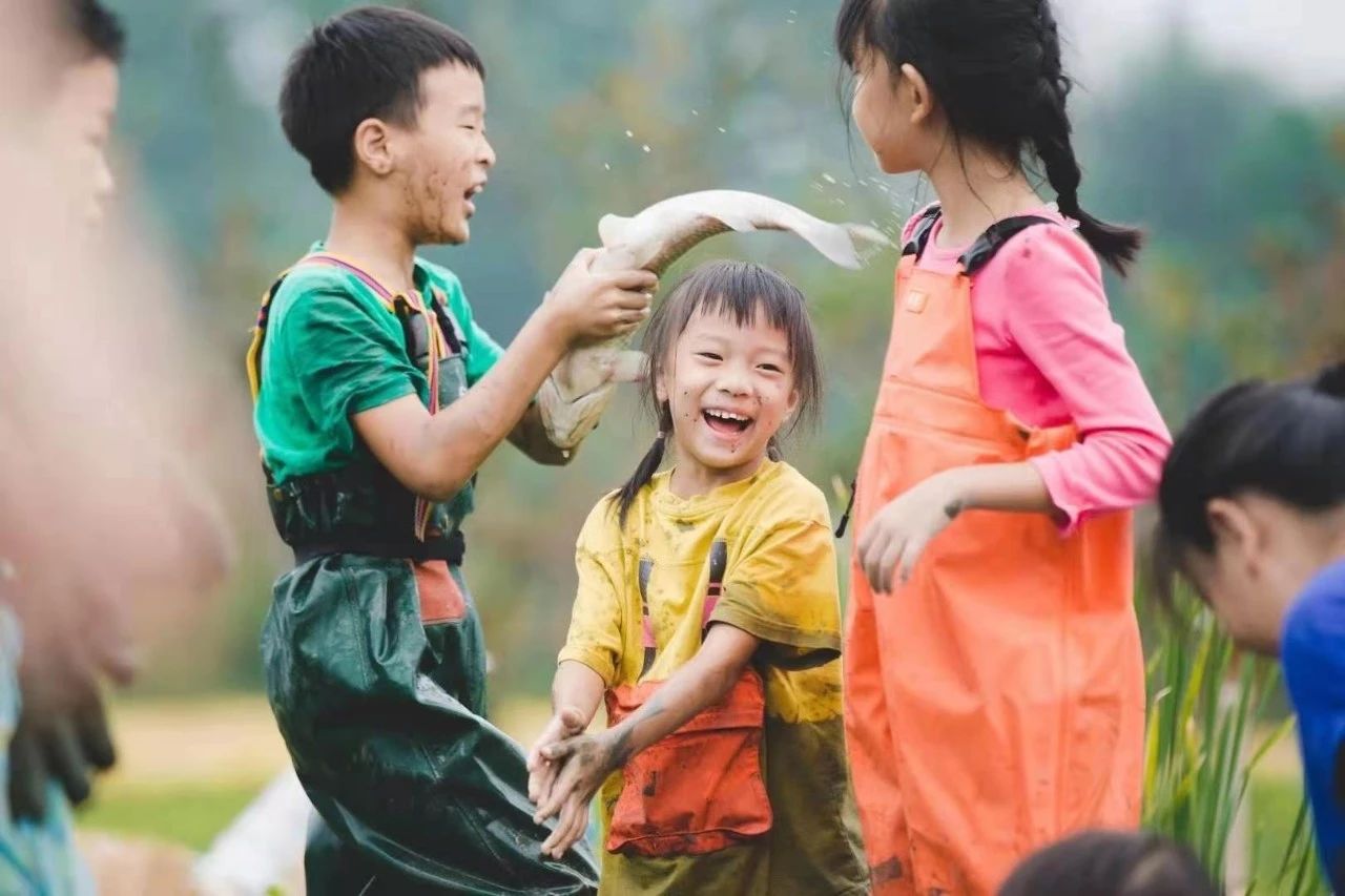 1625816373686787.jpg 1625816373686787.jpg