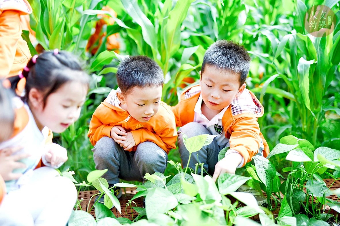 1625816459786018.jpg 1625816459786018.jpg