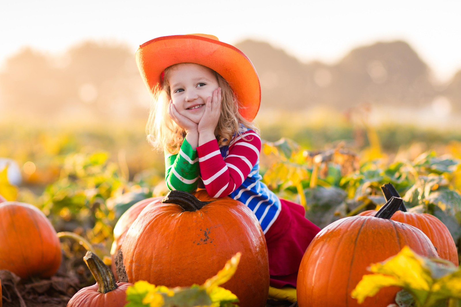 1638350610408371.jpg 1638350610408371.jpg