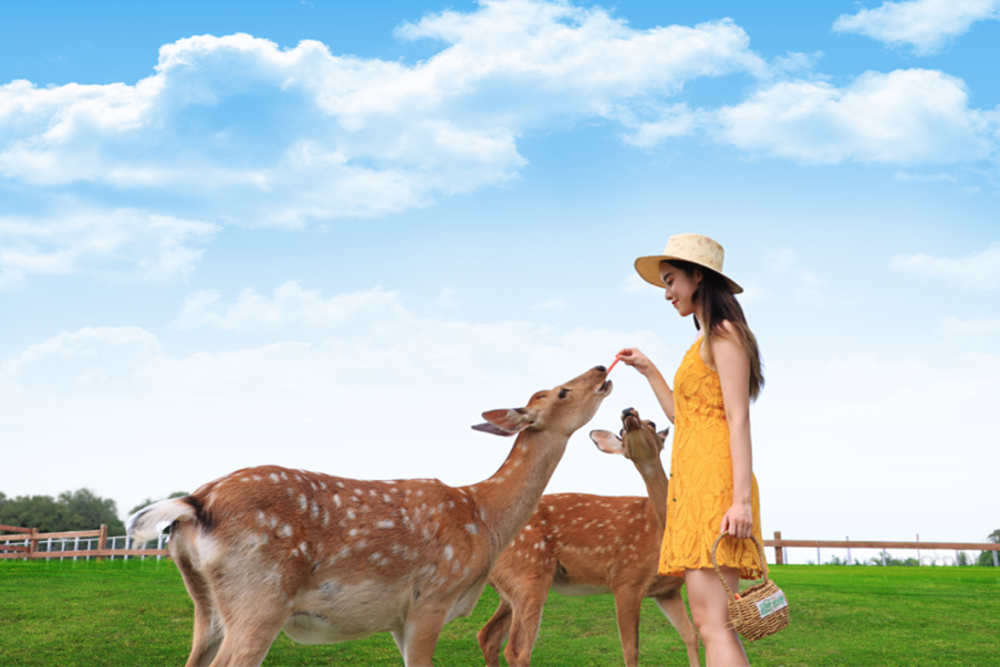 1648017153839980.png 2.png