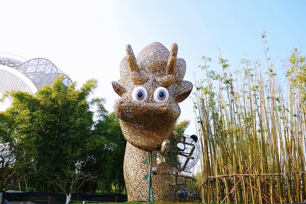 1648017277437245.jpg 6.jpg