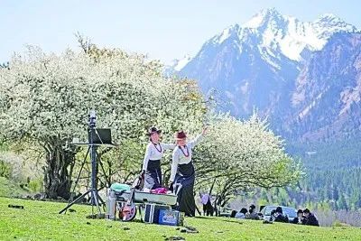 1660017032125330.jpg 1660017032125330.jpg