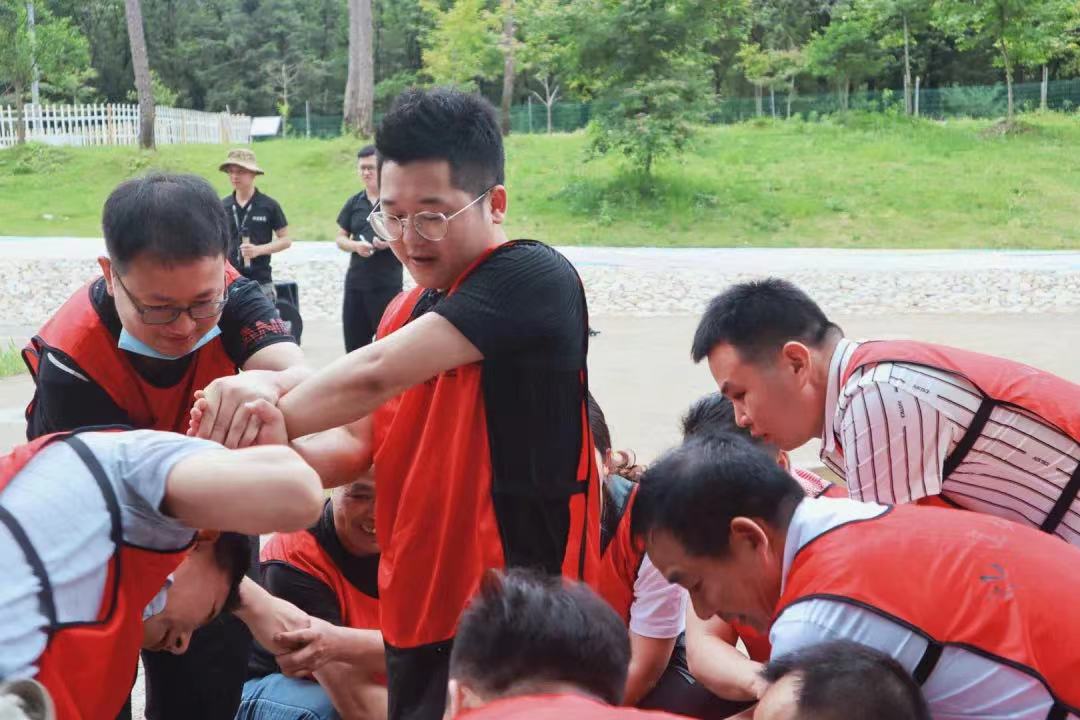 1660027317808308.jpg 1660027317808308.jpg